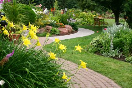 Unusual Plants - Landscaping Plants, Plantings NJ