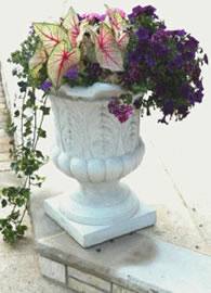 Monmouth County Potted Plants