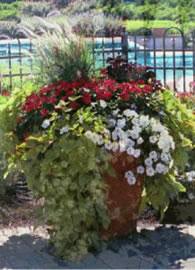 Little Silver Landscape Design and Custom Sheds