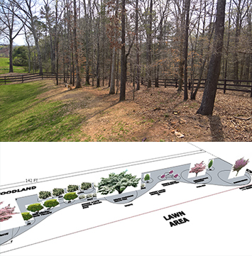 Landscape Design for a Woodland Border in Dawsonville GA