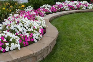 Roswell landscaper