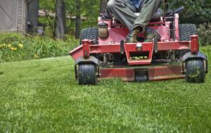 Sugar Hill landscaper