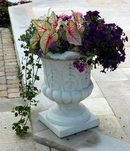 Container Gardening in Atlanta