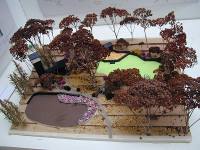 Woodland Landscape Design Via Model Building