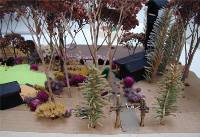 Woodland Landscape Design Via Model Building